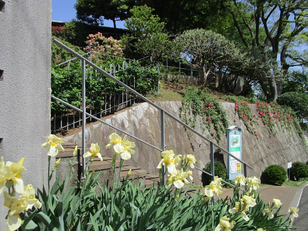 【ブラフ18番館】春風2026.4 22 (1).JPG