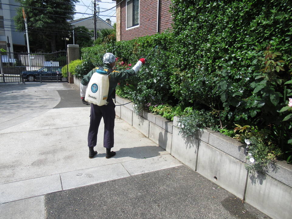 0512 薬剤散布.JPG