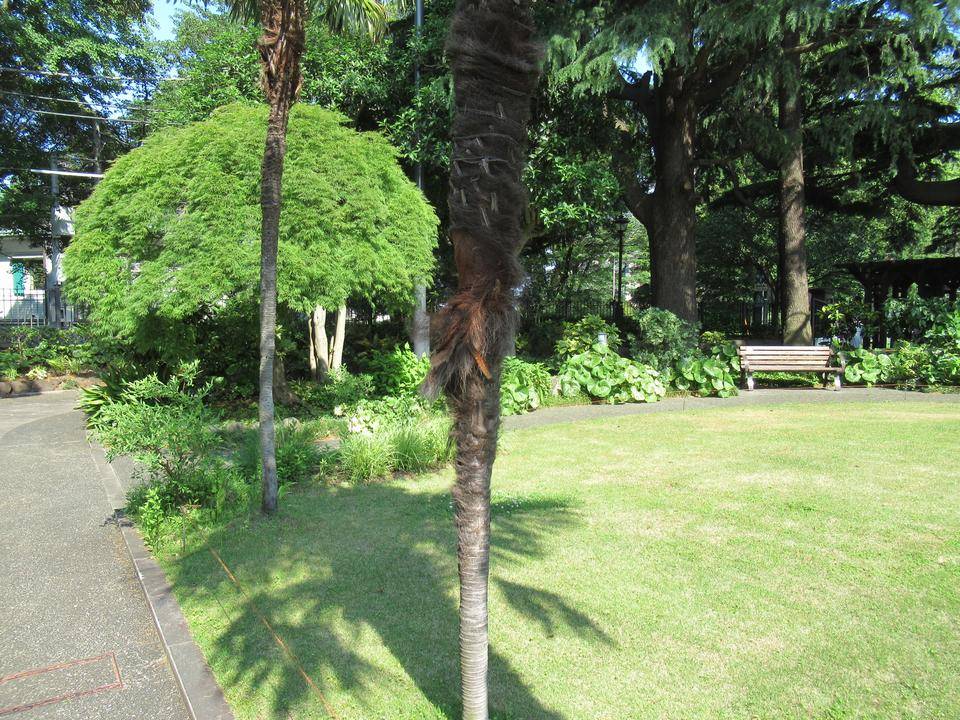 0525【ベーリック】 シロ.JPG