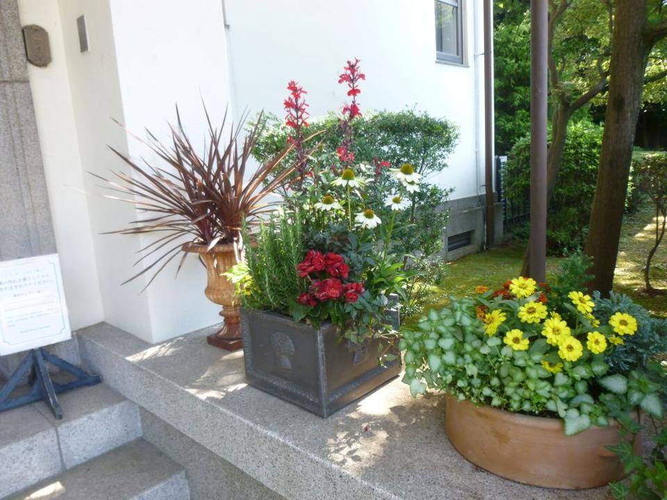 0722イギリス館―玄関前の寄せ植え①.JPG