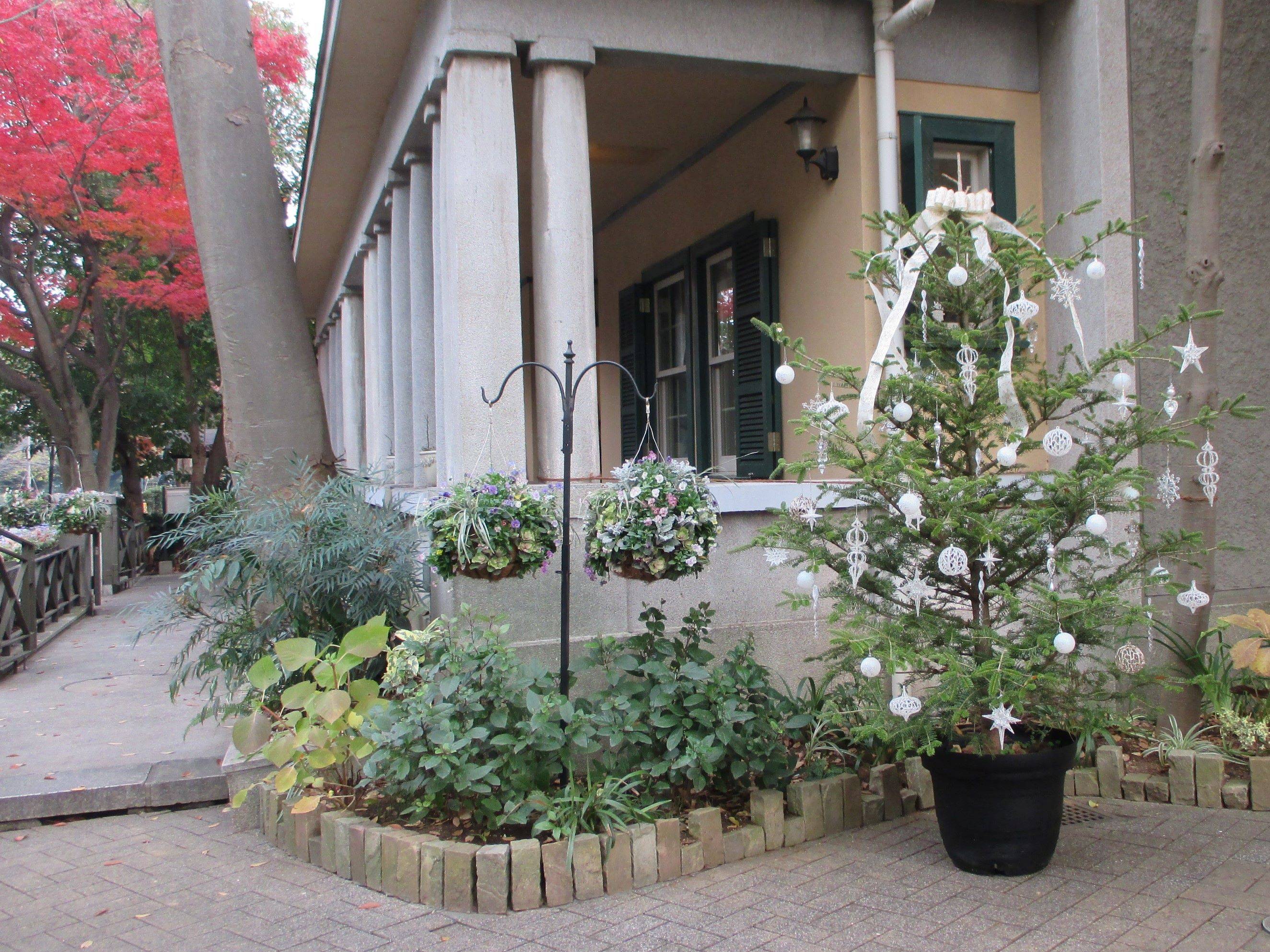 室外　ツリー 　縮小.jpg