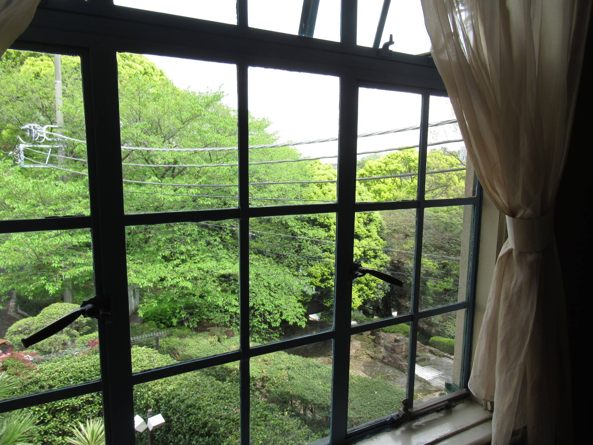 0421 元町公園サクラ.JPG