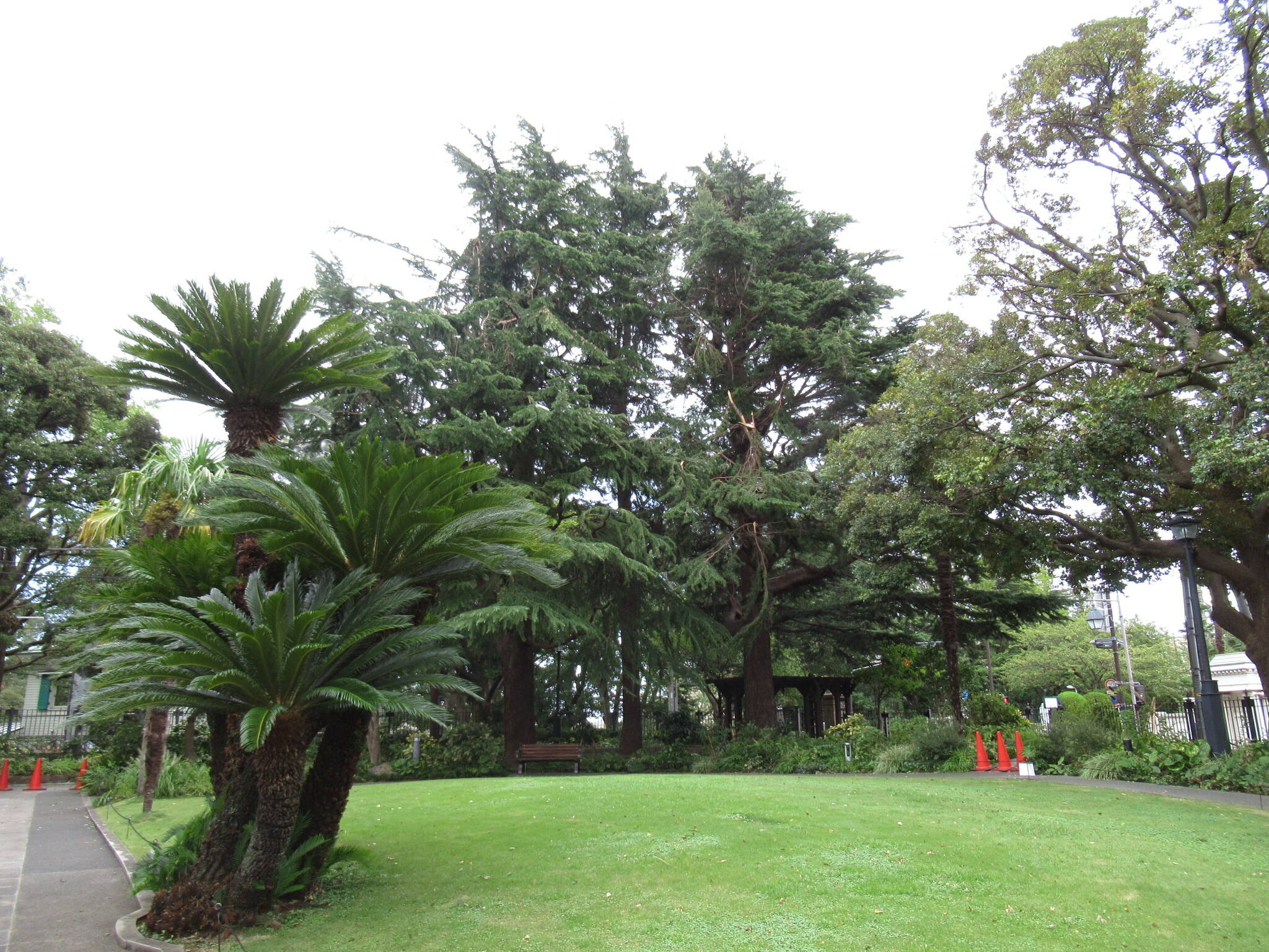 0912ベーリック (4).JPG