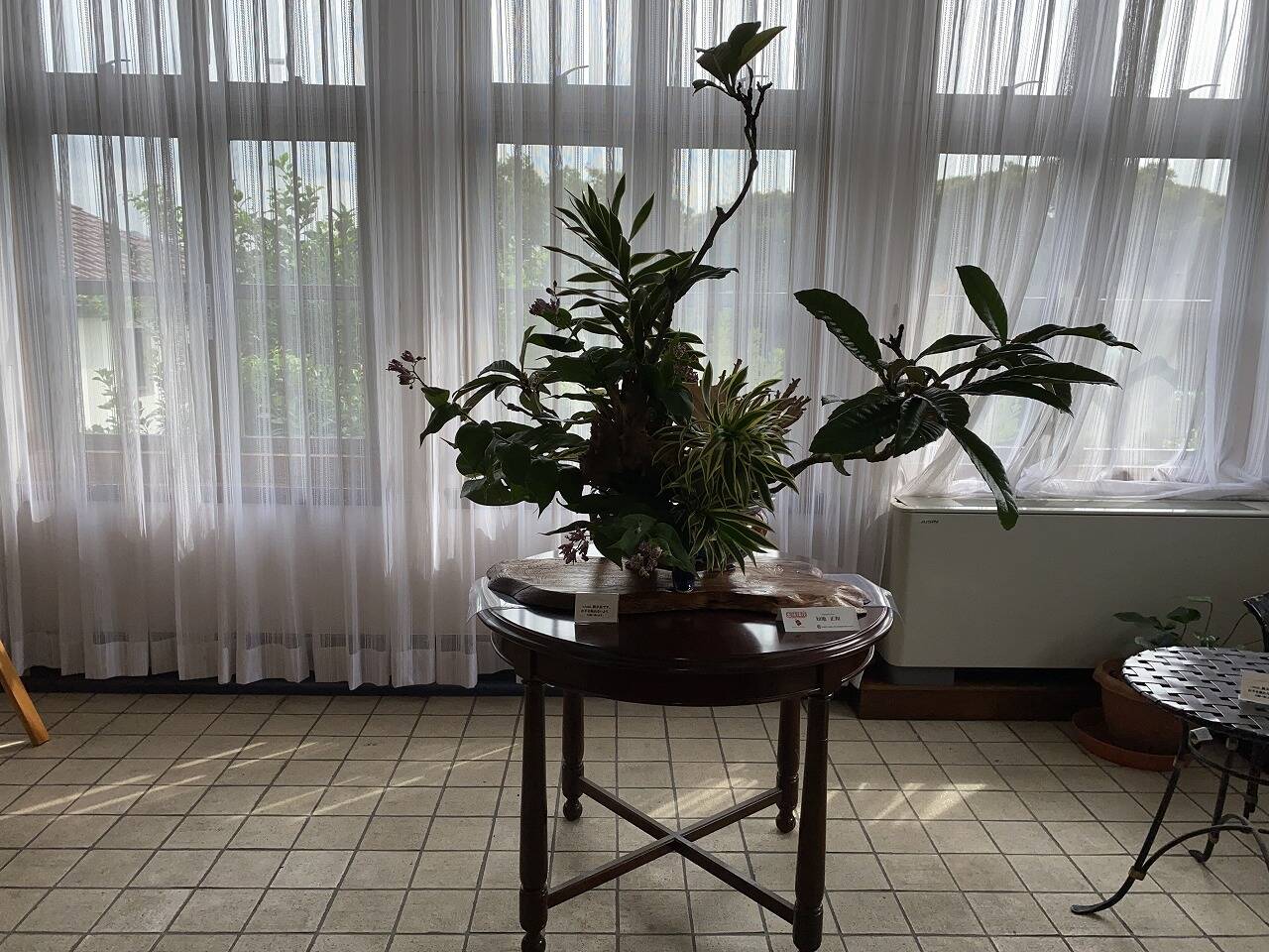 R2-9小原お花 (3).jpg