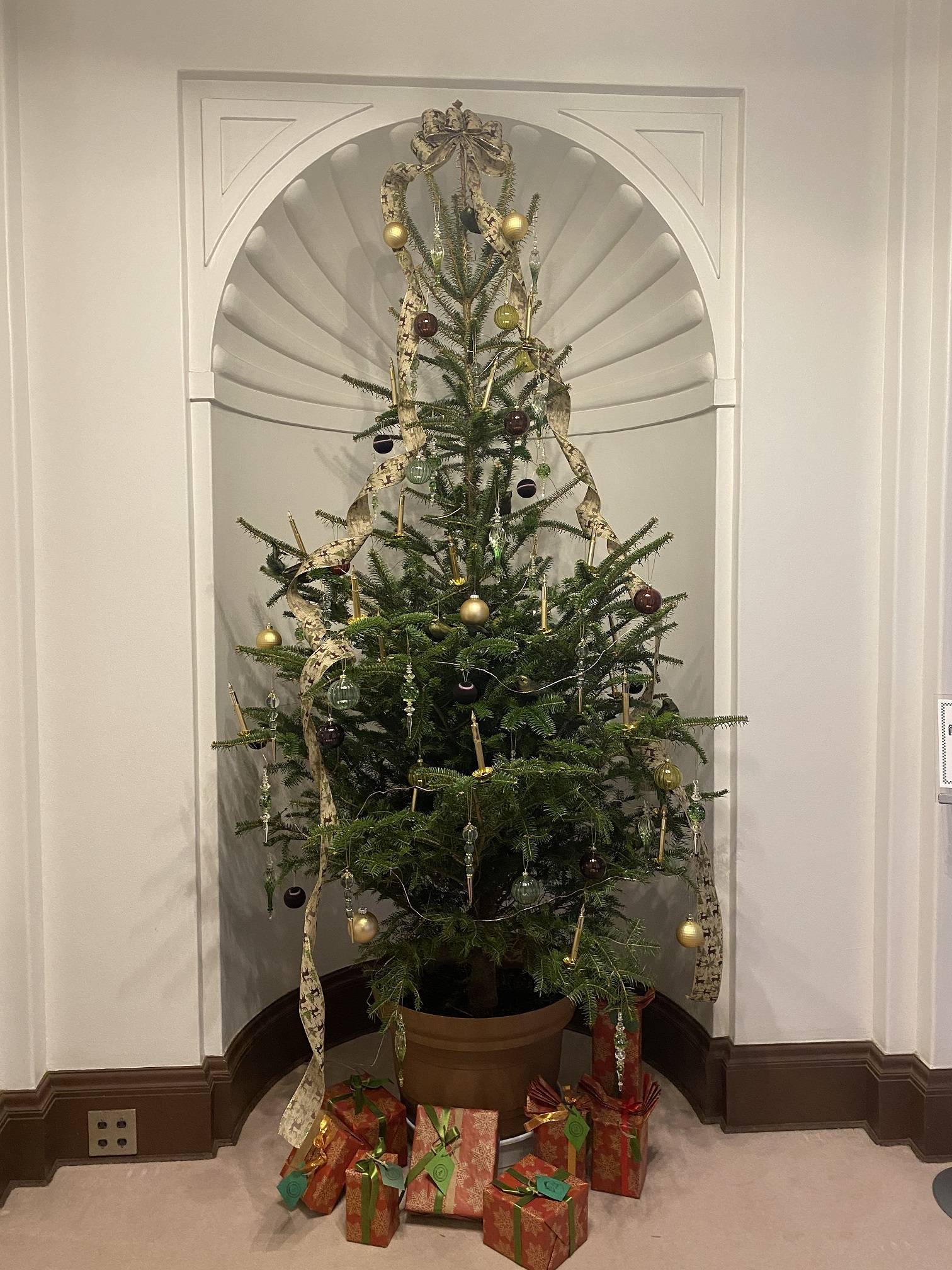 クリスマス2020イギリス館 ｱﾙｺｰﾌﾟ).JPG