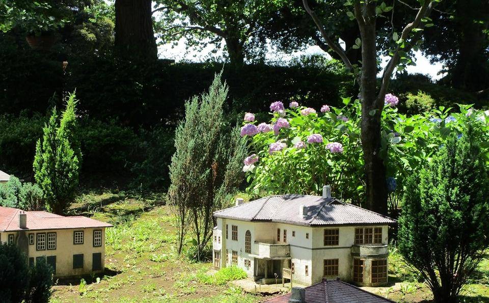 ③2022.6.13 ブラフ18番館　アジサイ3.JPG