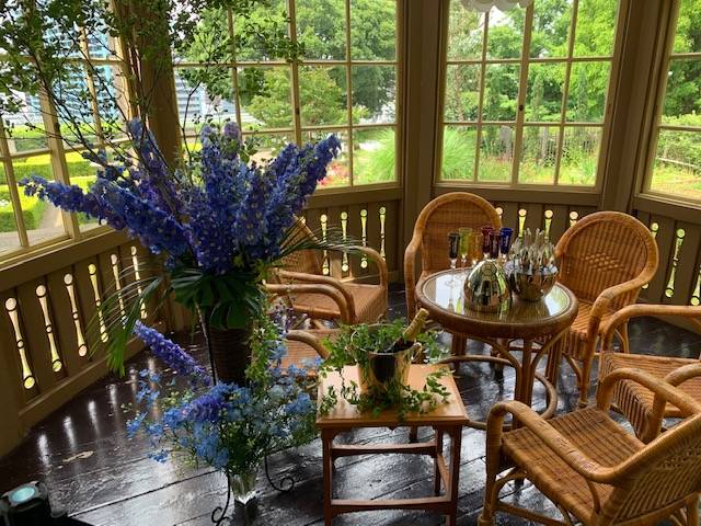 ②サンルームのデルフィニューム (1).jpg