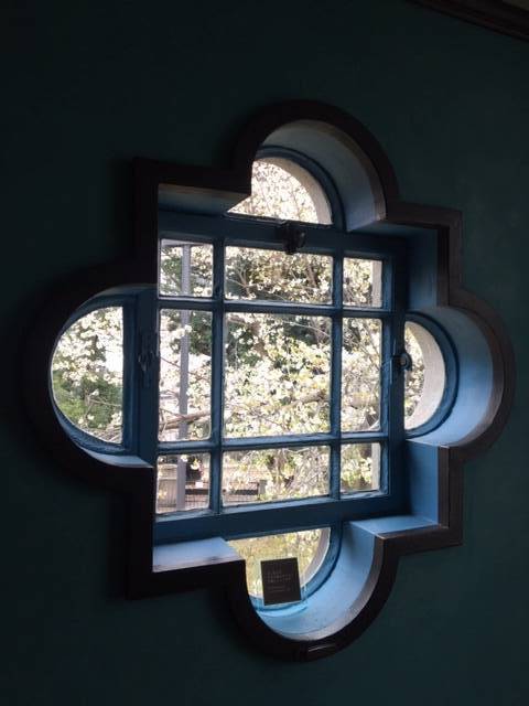 0328ベーリック・ホールオオシマザクラ (1).JPG