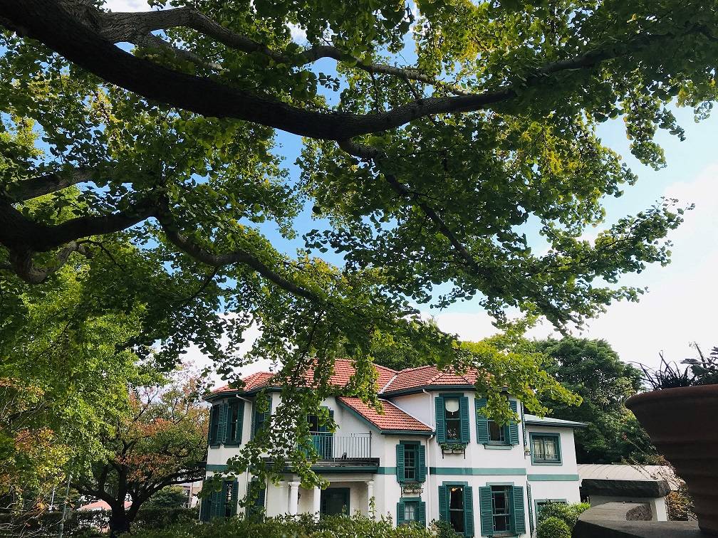 ①2020.11.5ブラフ18番館晴れの日 .jpg