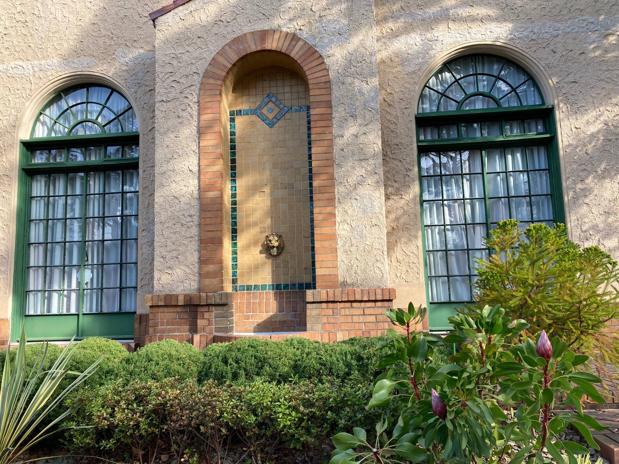 0316【ベーリック】 キングプロテア.jpg