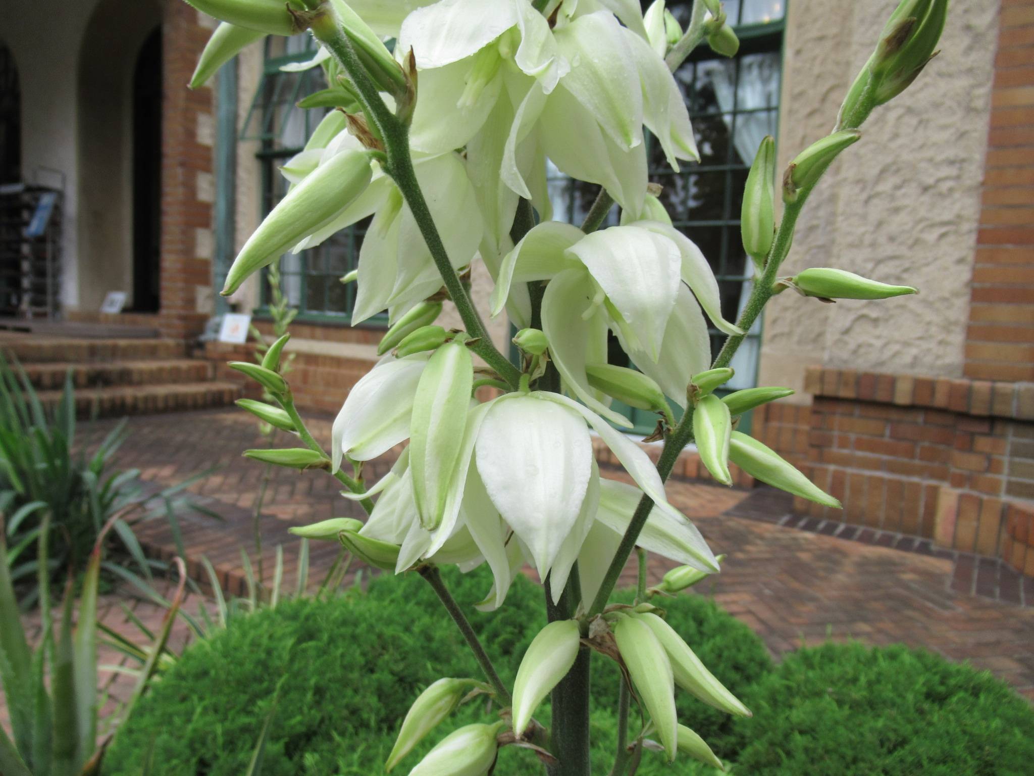 0522【ベーリック】 イトラン.JPG