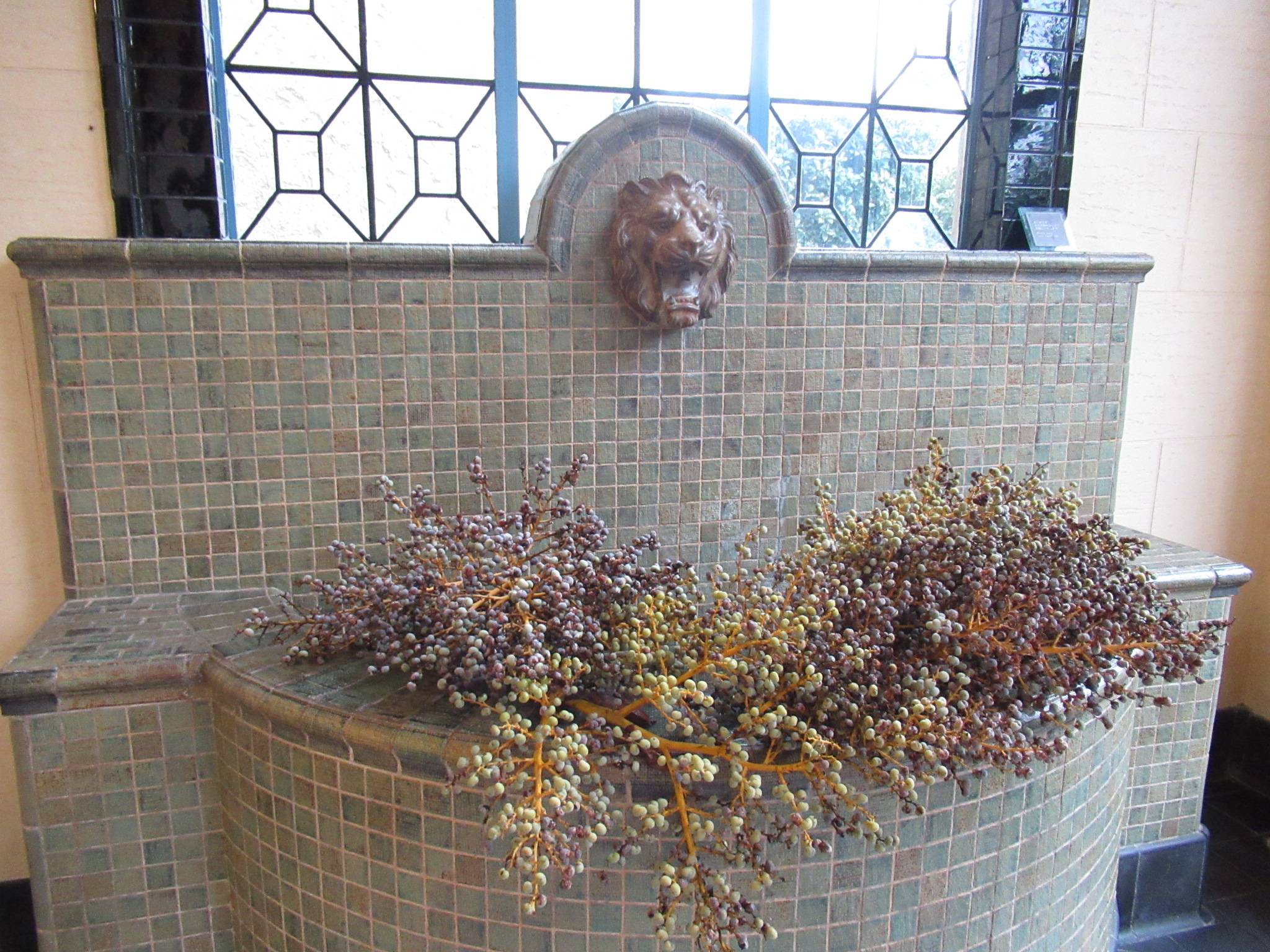 1023シュロの実剪定 (4).JPG