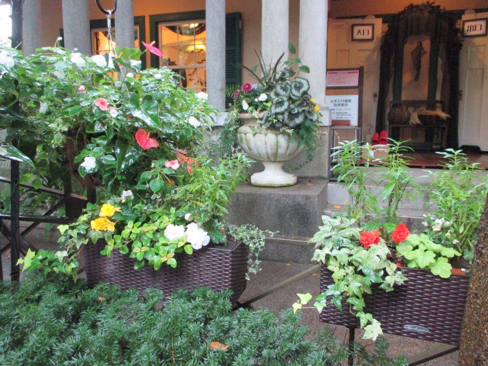 プランターと正面.JPG