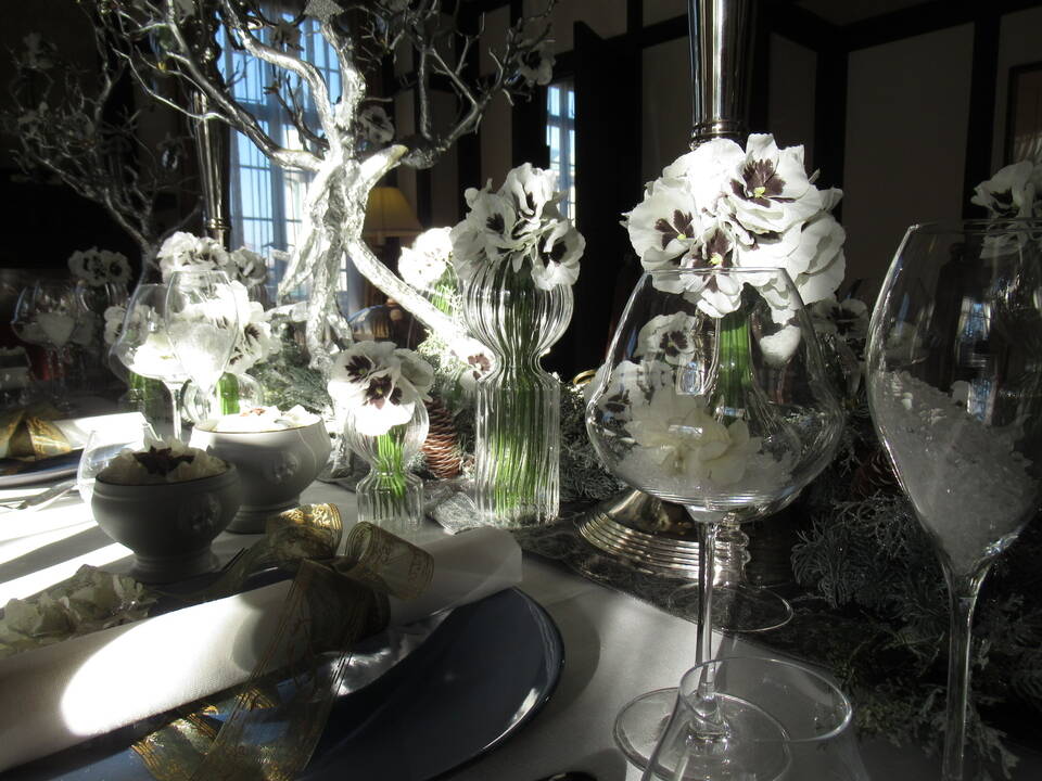 1208朝の光の中で (2).JPG