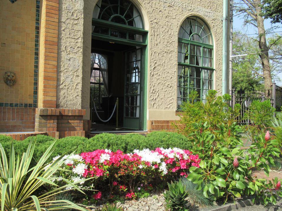 0331【ベーリック】 ツツジ.JPG