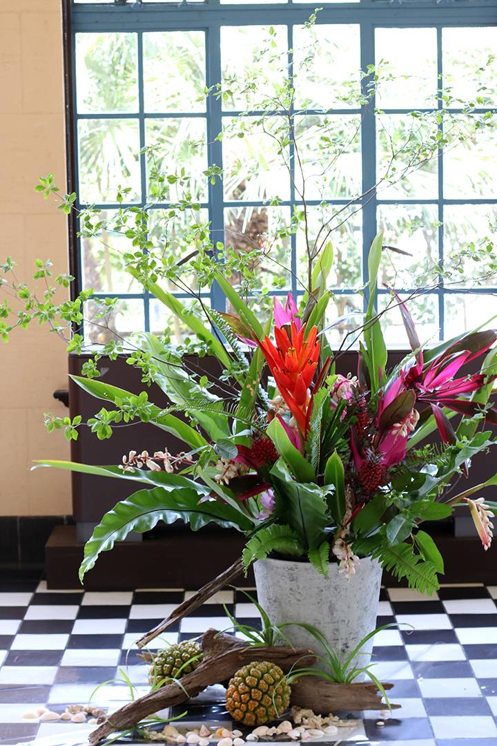 端午の節句パームルーム.jpg