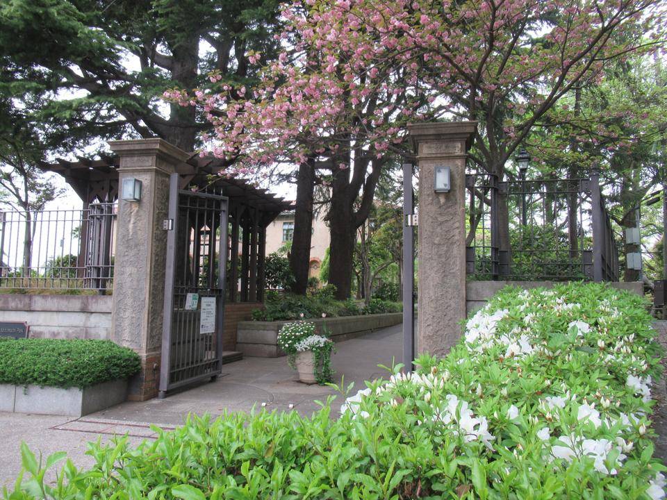 0418【ベーリック】 正門前ツツジ.JPG