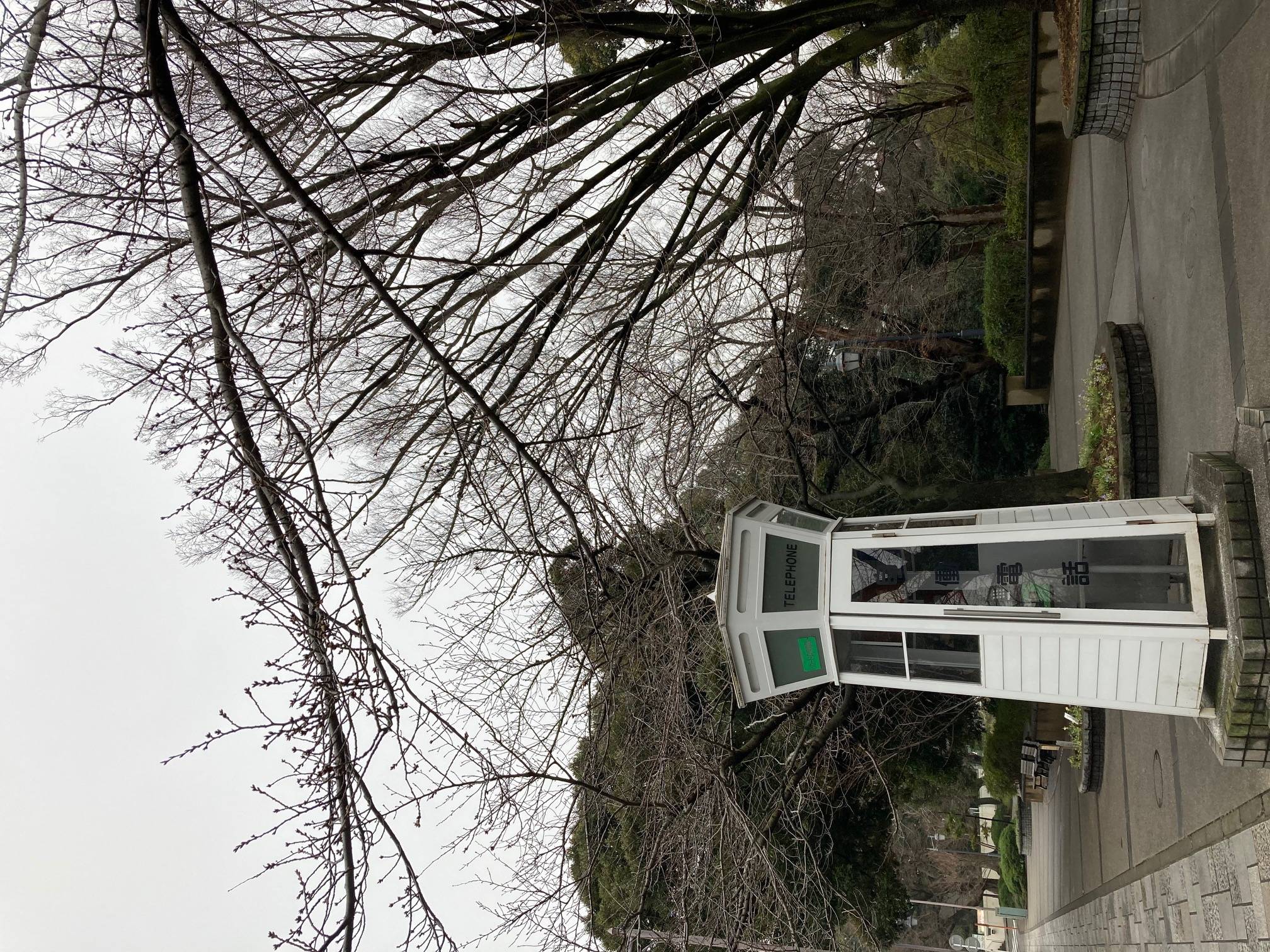 0306 【234前】.jpg