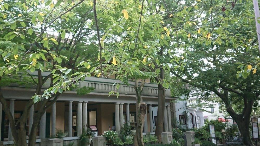 0916　桜 縮小.JPG