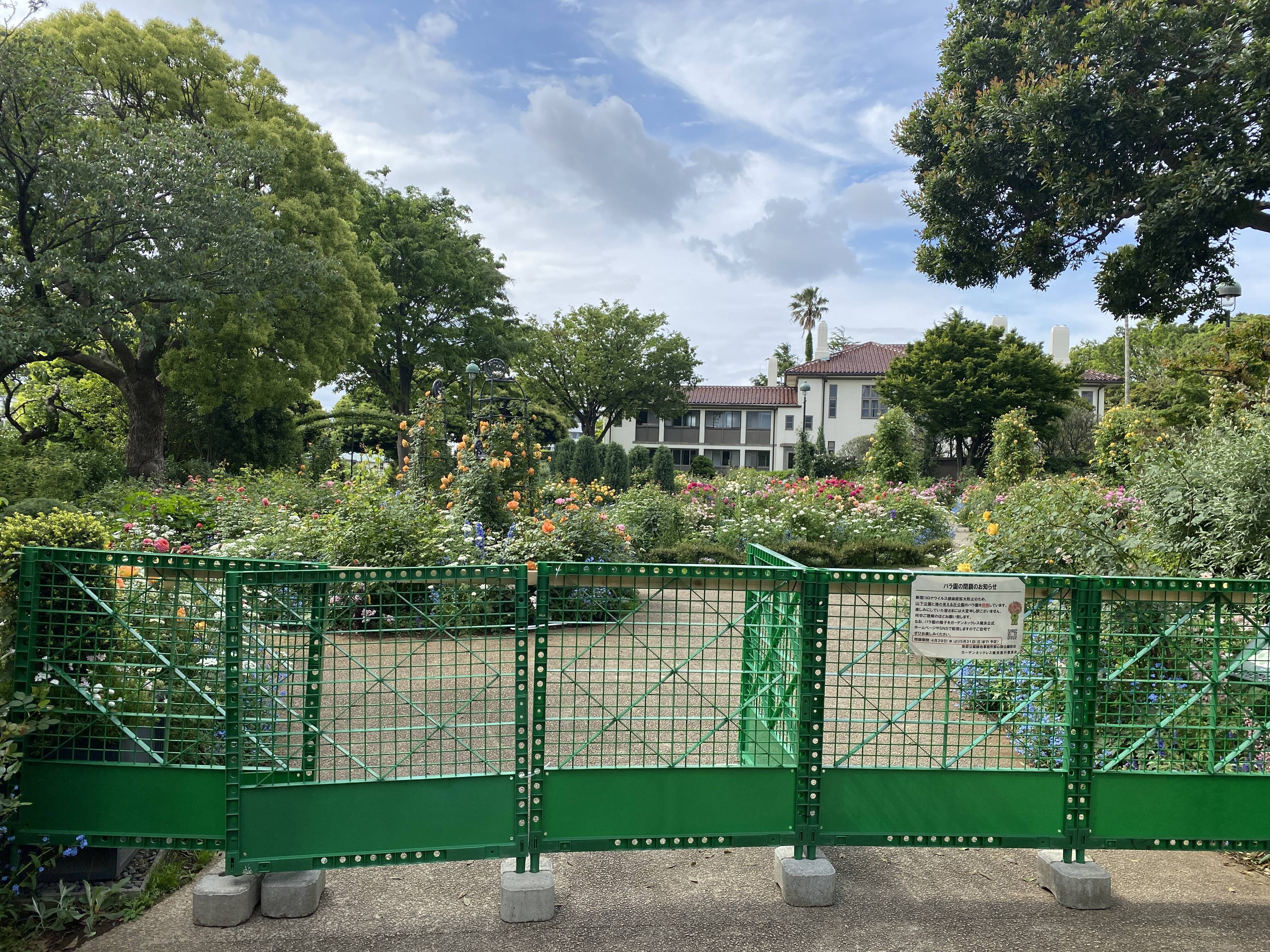 港の見える丘ビュー5-9 (4).JPG