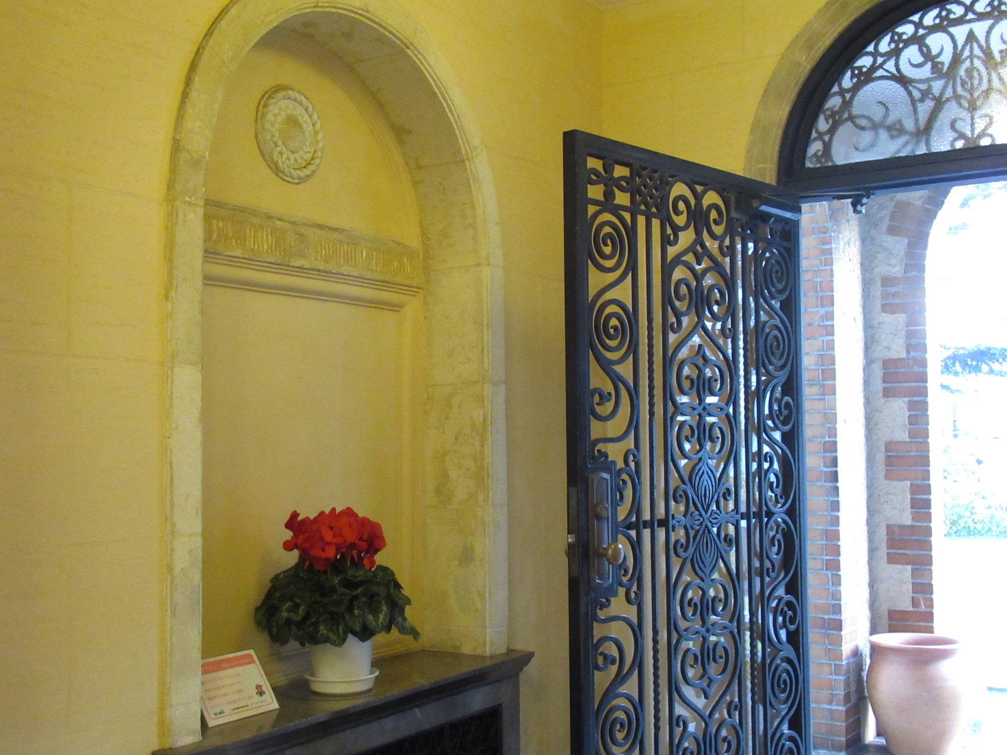 1130シクラメン (1).JPG