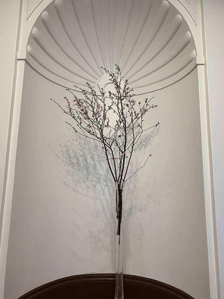 R3-3月ギリス館桜アルコープ (4).jpg