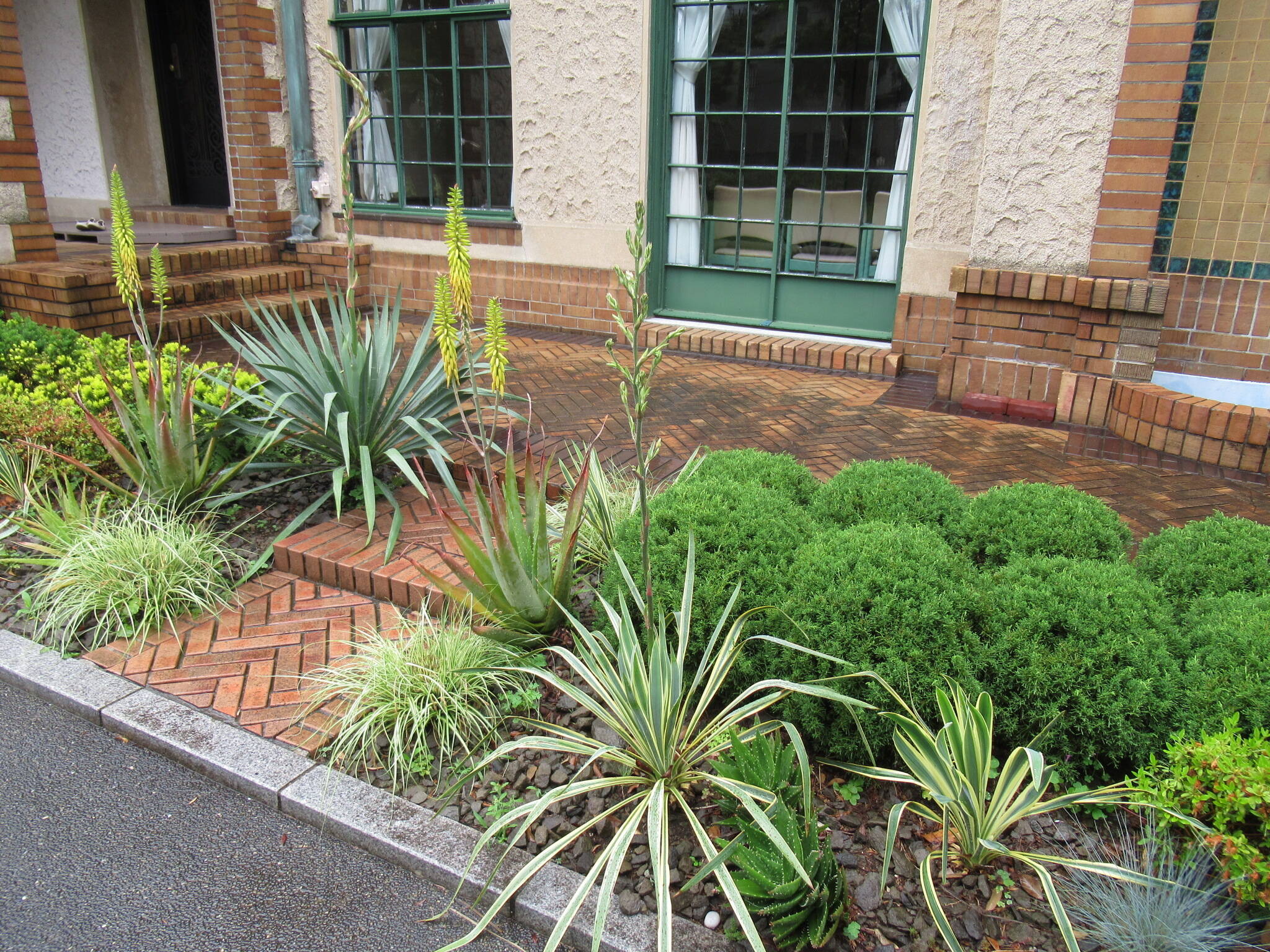 0519 イトラン.JPG