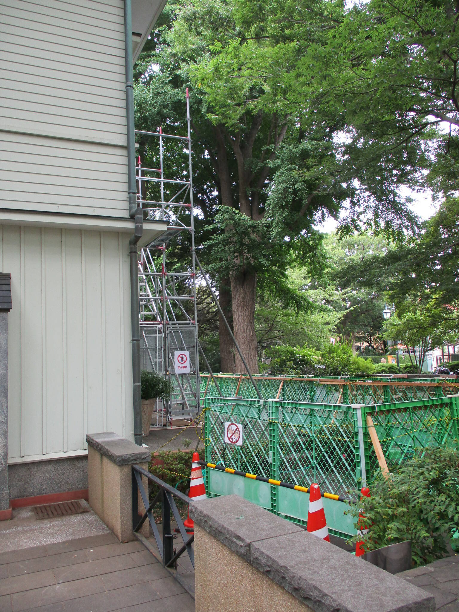 0627囲い枠 (2).JPG