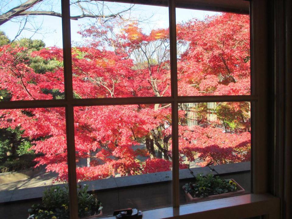 山手234番館の紅葉　二階窓から　IMG_8932.JPG
