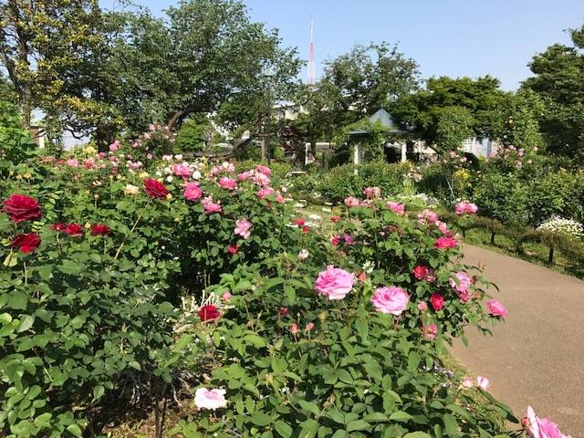 横浜市イギリス館 港の見える丘公園 ビュー 横浜市イギリス館 山手西洋館公式サイト 公益財団法人 横浜市緑の協会