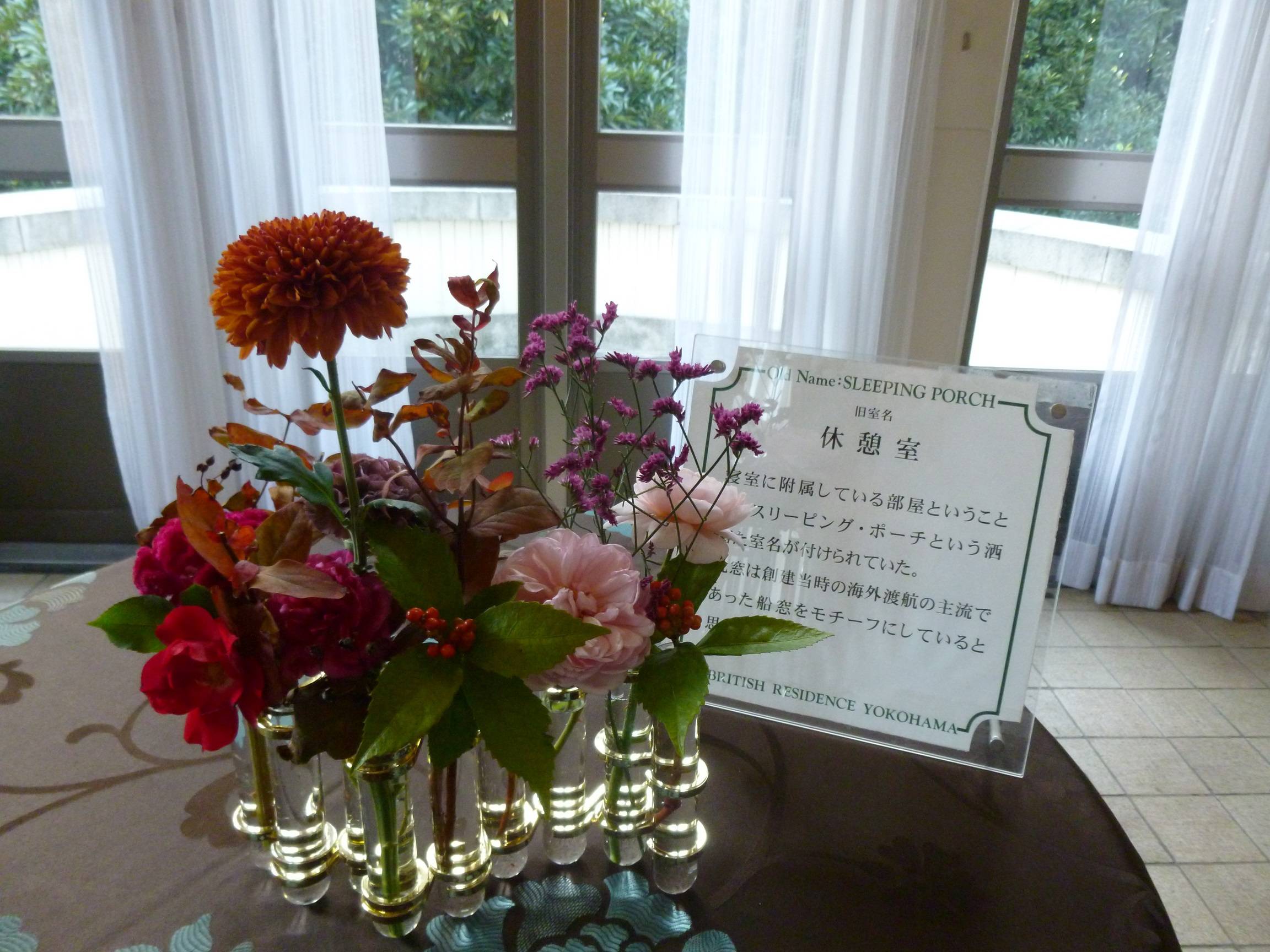 1104イギリス館秋のお花 (1).JPG