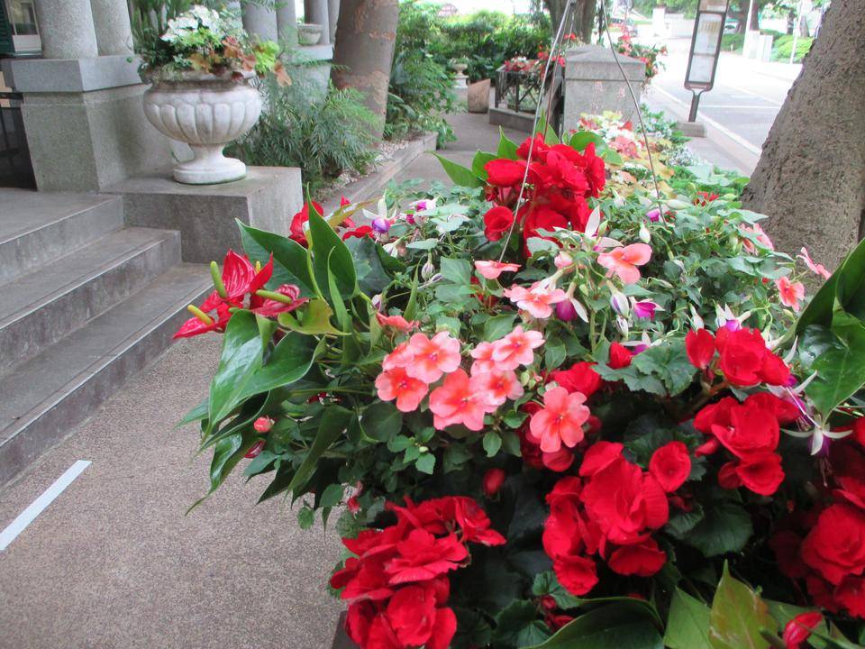 0509 234番館ハンギングバスケット.JPG