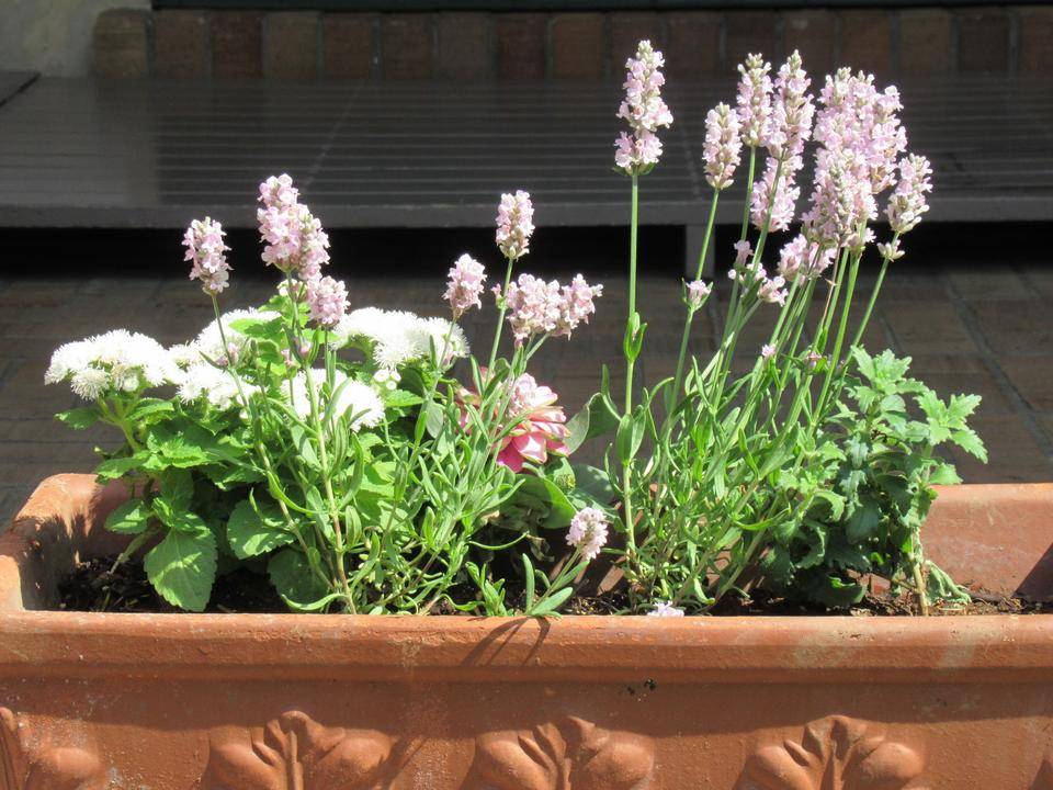 0530 玄関ポーチ.JPG