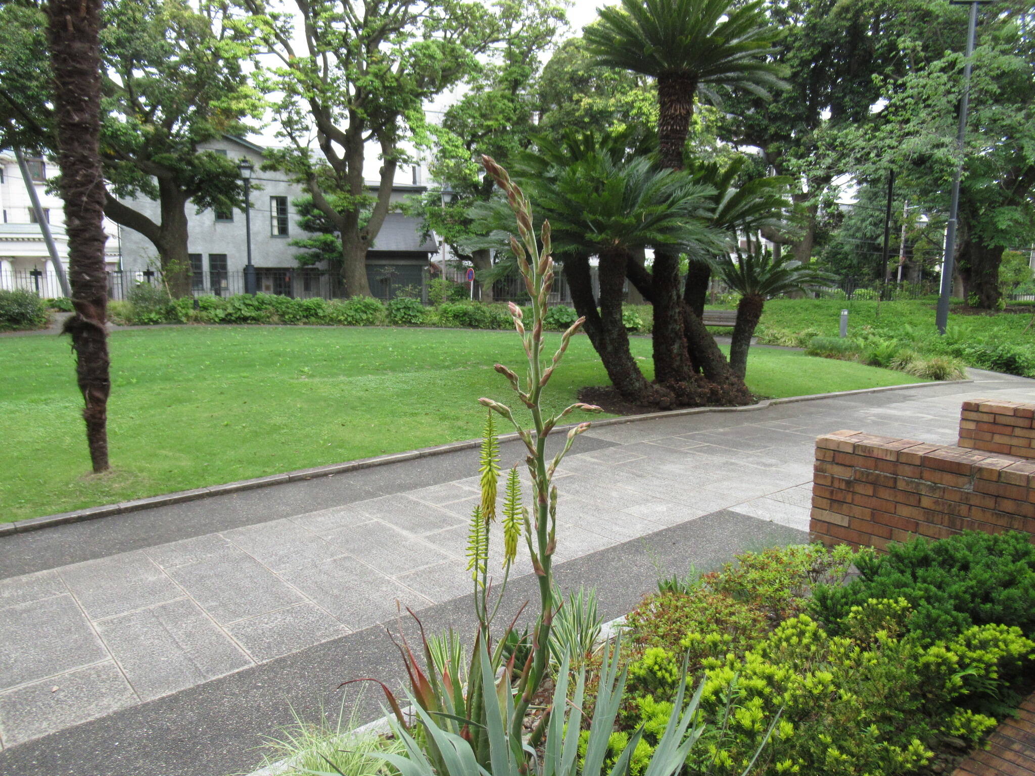 0523 (イトラン）.JPG