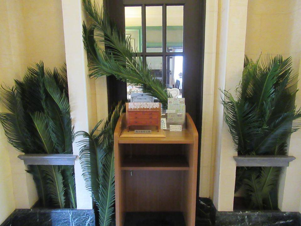 0308 ソテツ (3).JPG