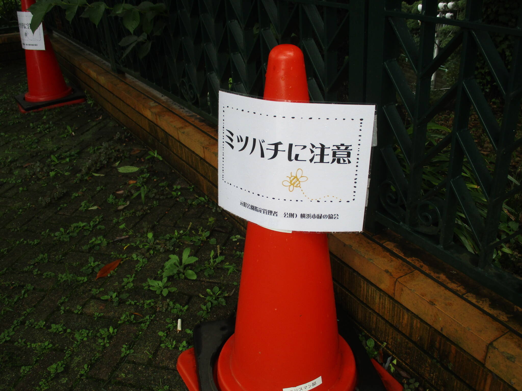 ミツバチ立入禁止 (2).JPG