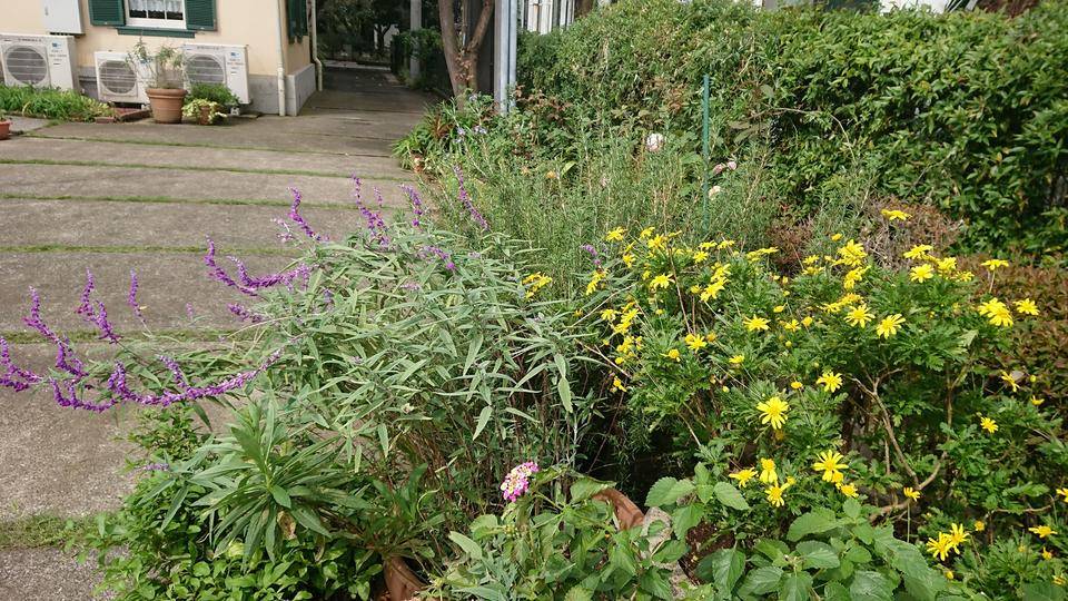 234番館_1011 kobana.JPG