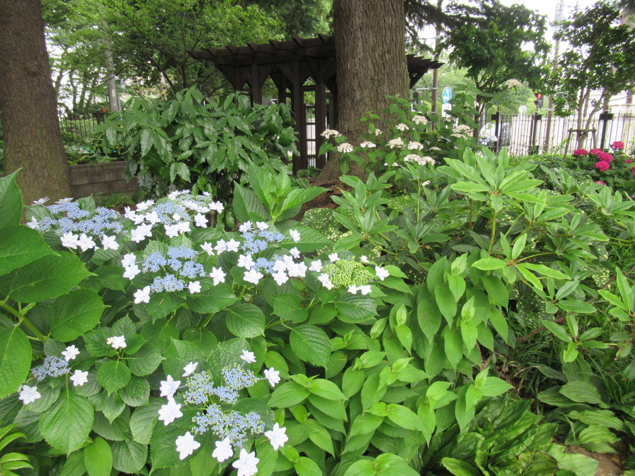 0607 【ベーリック】.JPG