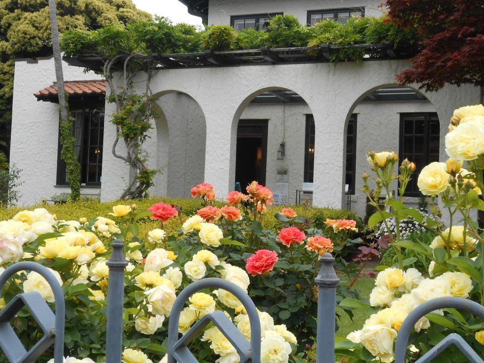 山手111番館 (1).JPG