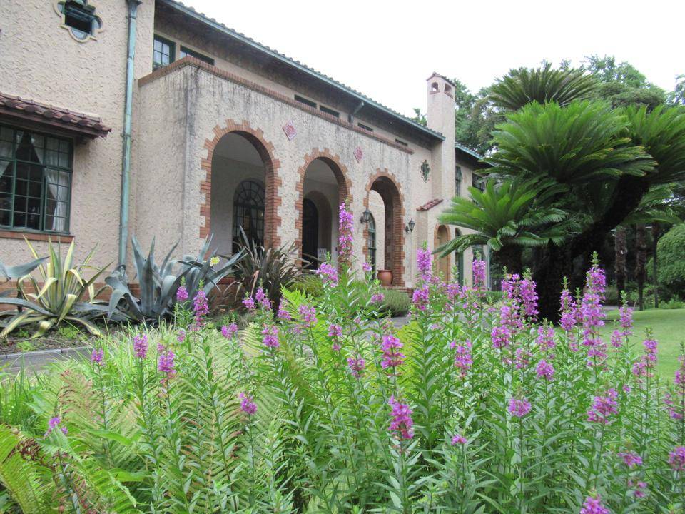 0717 ミソハギ.JPG