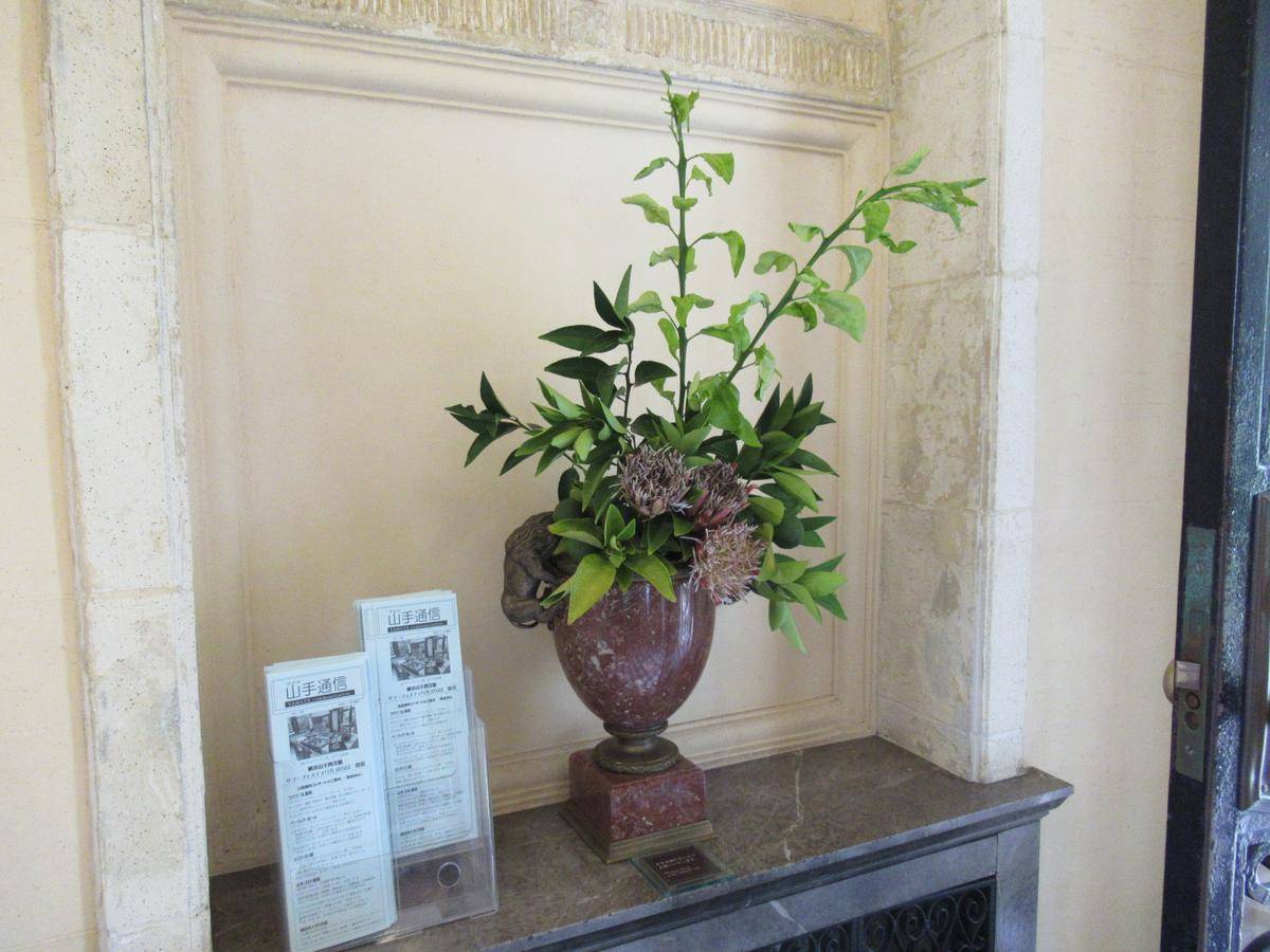 0806キングプロテアとなつみかん (1).JPG