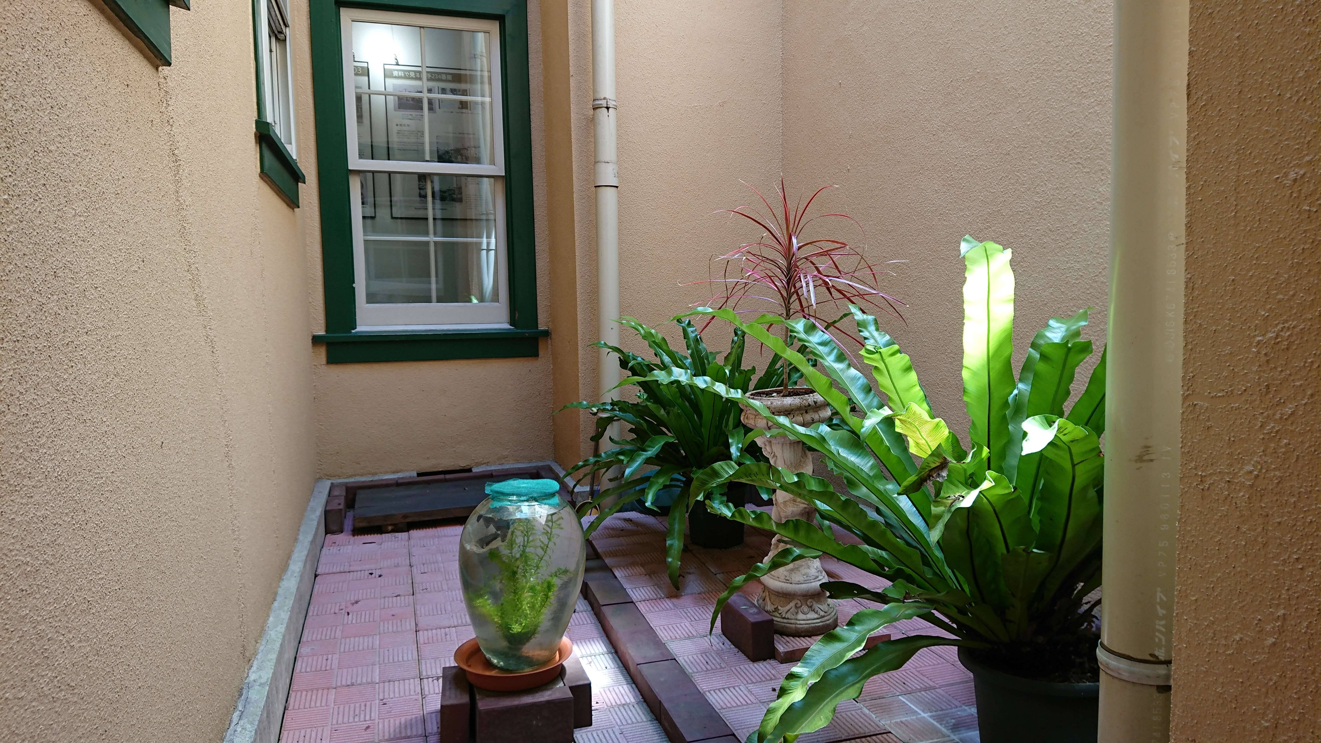 0803_234光庭 shukushou.JPG