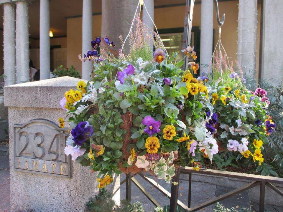 山手234番館・門柱とハンギングバスケット　IMG_8950.JPG