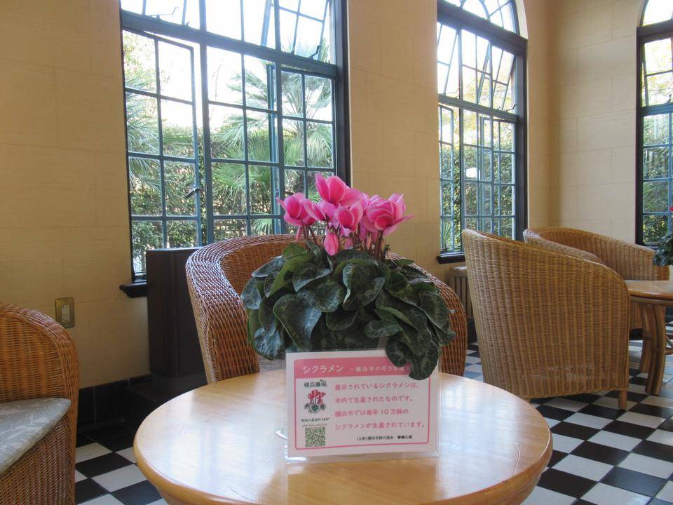 ベーリック・ホール (1).JPG