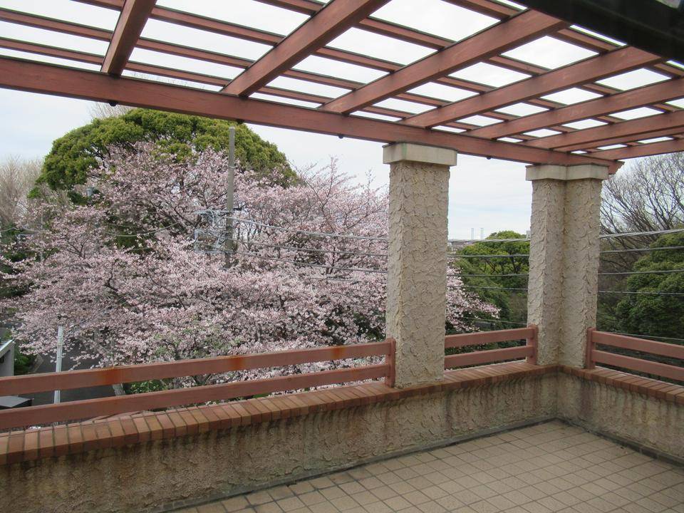 0327 パーゴラ.JPG