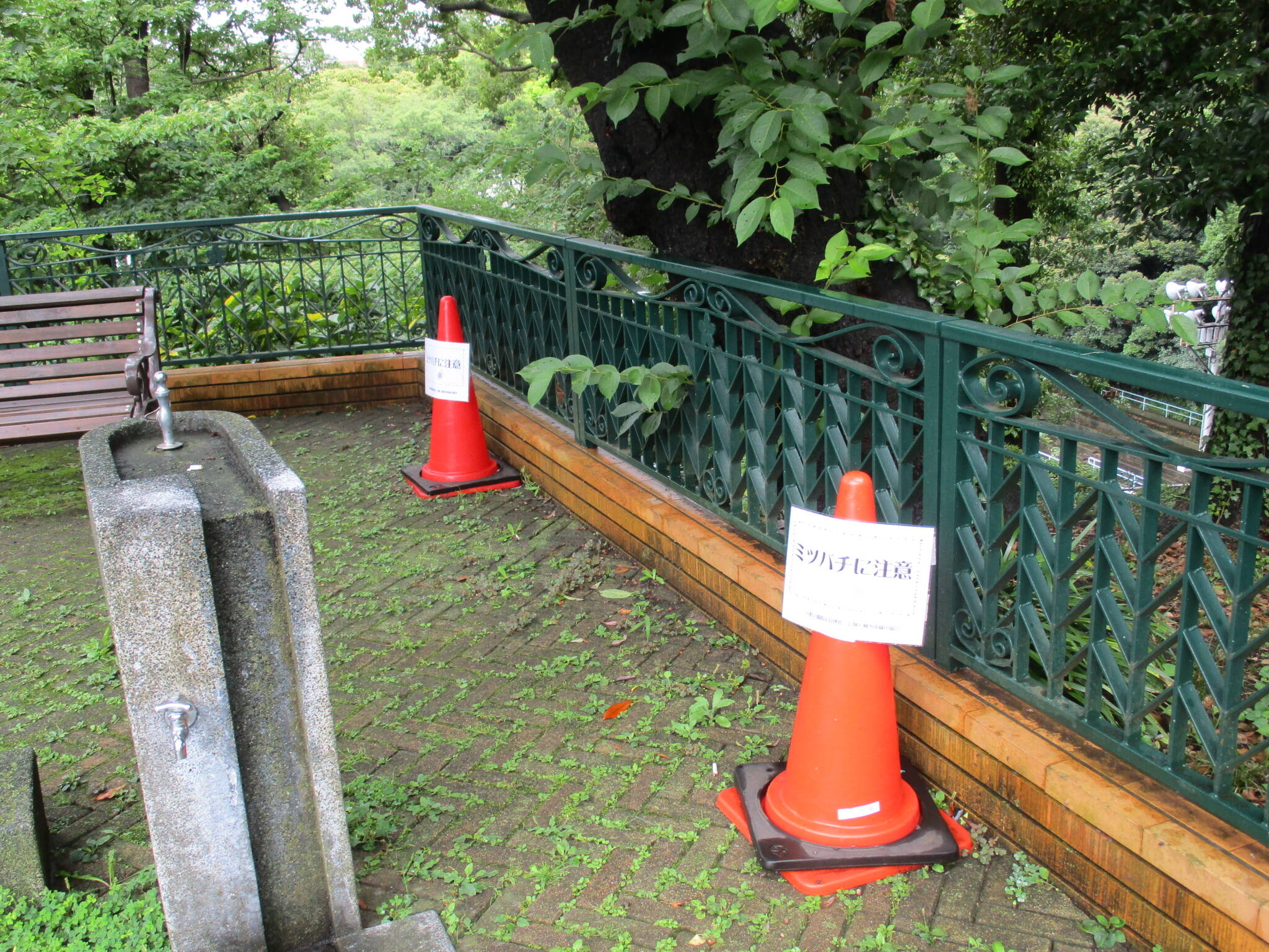 ミツバチ立入禁止 (1).JPG