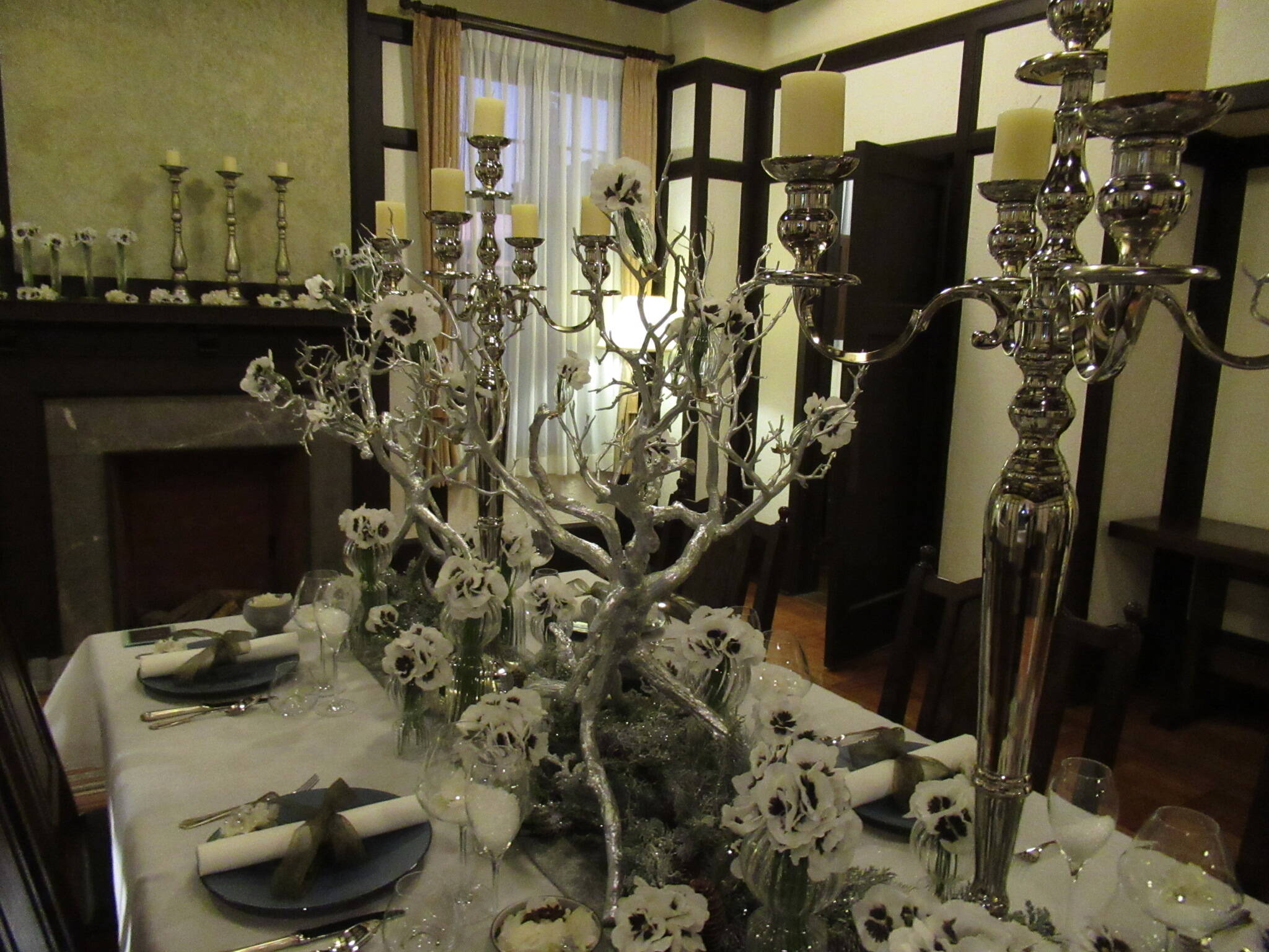 1208夜のベーリック・ホール (2).JPG