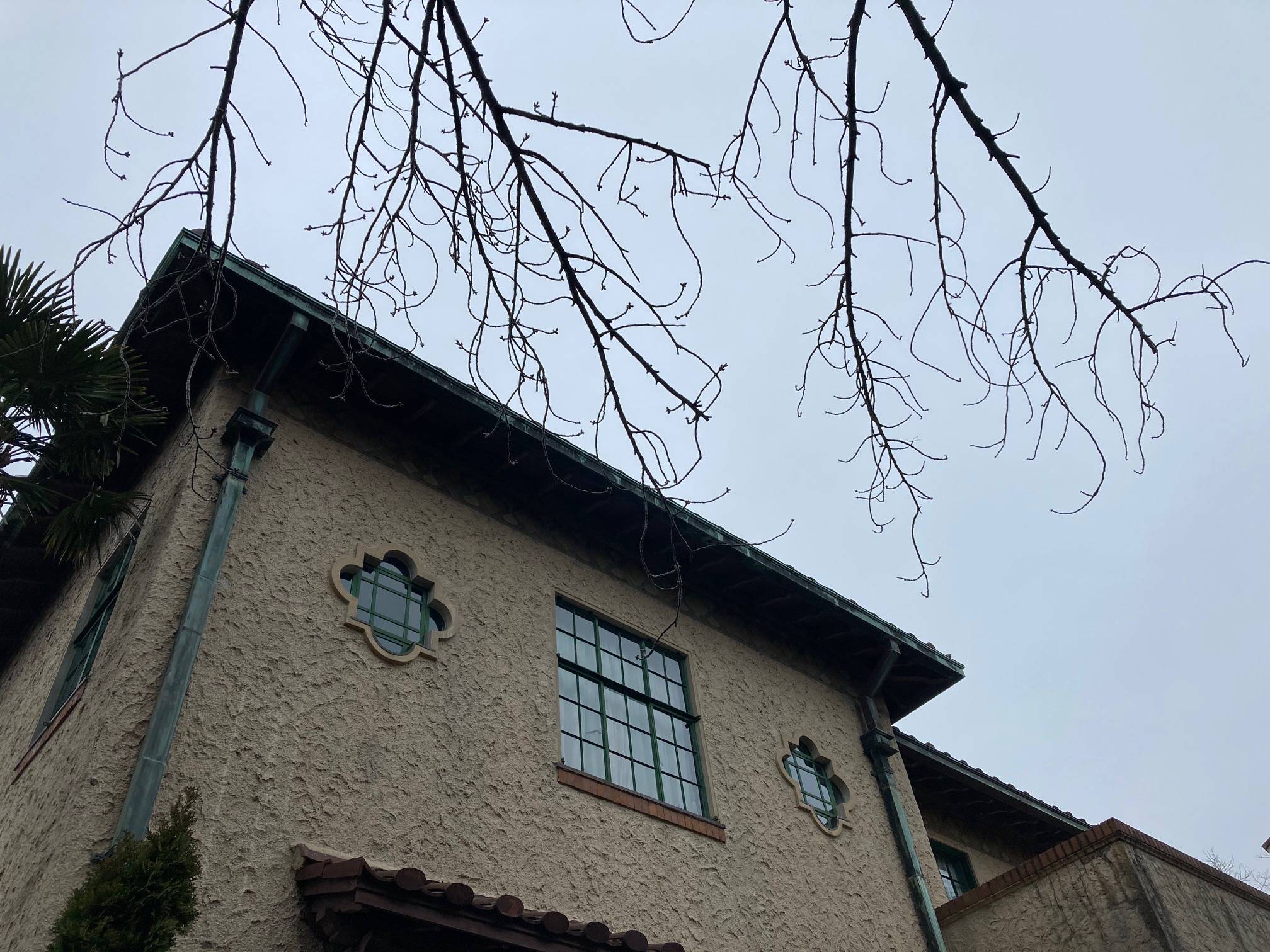 0306 【ベーリック】.jpg