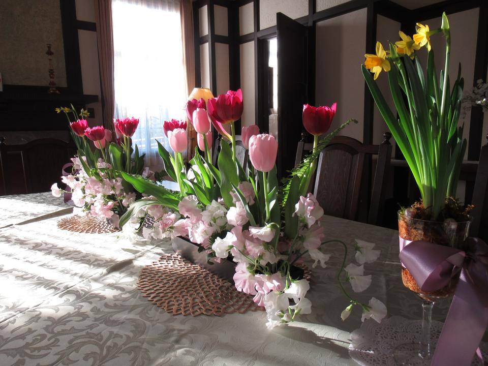 0131【ベーリック】 チューリップ (1).JPG