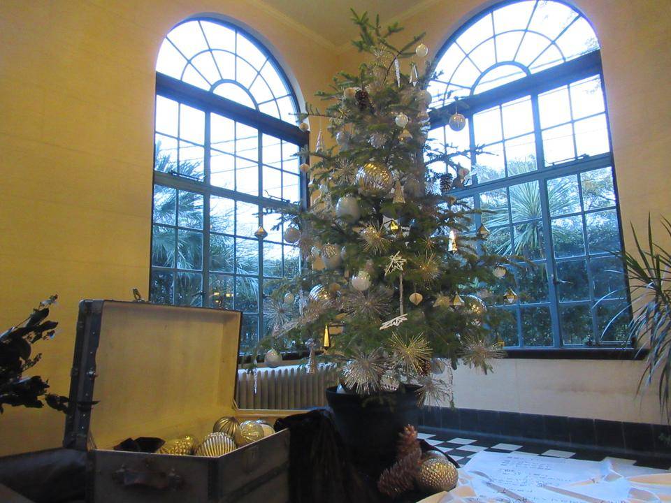 1130 パームルーム.JPG